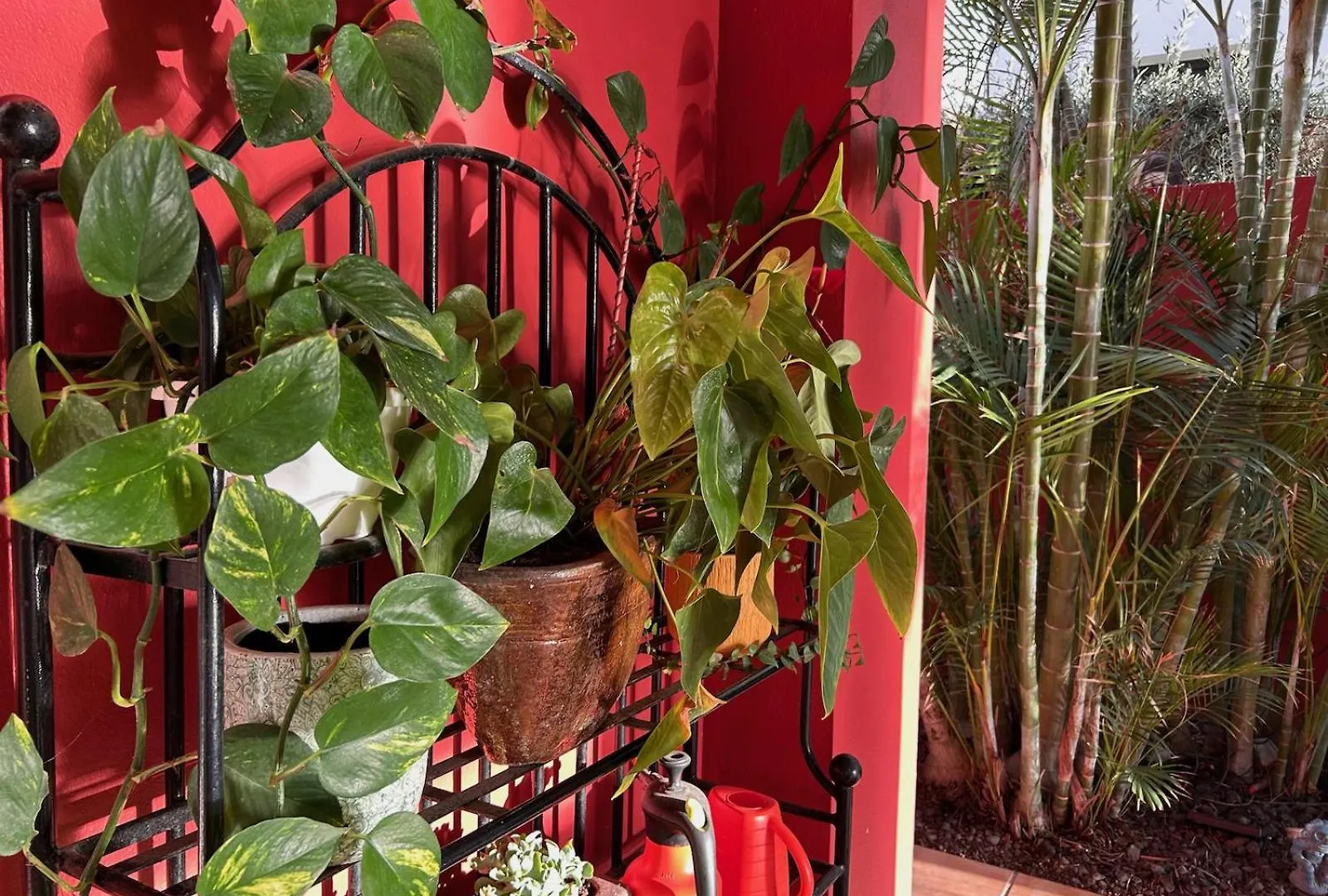 Red-House Villa Costa Adeje  Spain